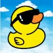 Duck Escape