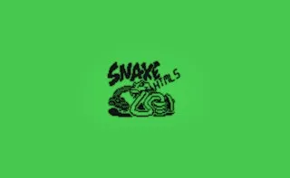 Snake 33 10 HTML5